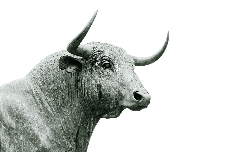 wall street bull